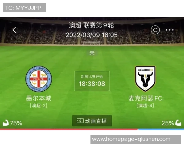 惠灵顿与纽喷射机的精彩对决分析与赛季展望