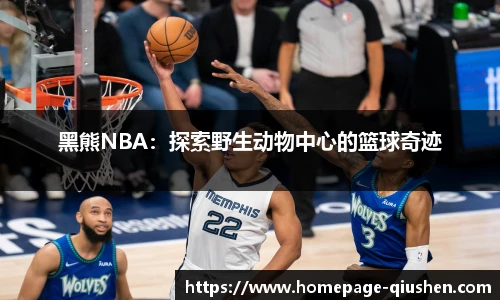 黑熊NBA：探索野生动物中心的篮球奇迹