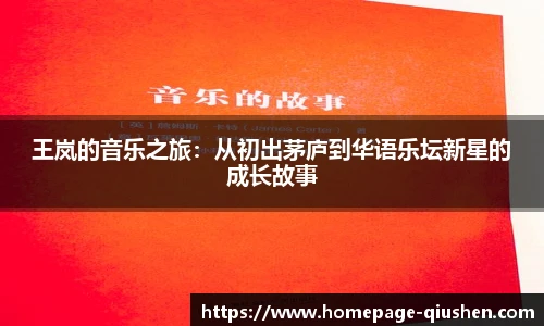 王岚的音乐之旅：从初出茅庐到华语乐坛新星的成长故事